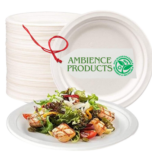 Ambience Products 10" Super Rigid White Paper Plates 25pcs- Extra Strength White Disposable Bagasse Sugarcane - Eco-Friendly, Biodegradable & Compostable - Perfect for Picnics, BBQ, & Party Favor